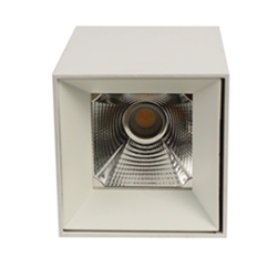 Down light series